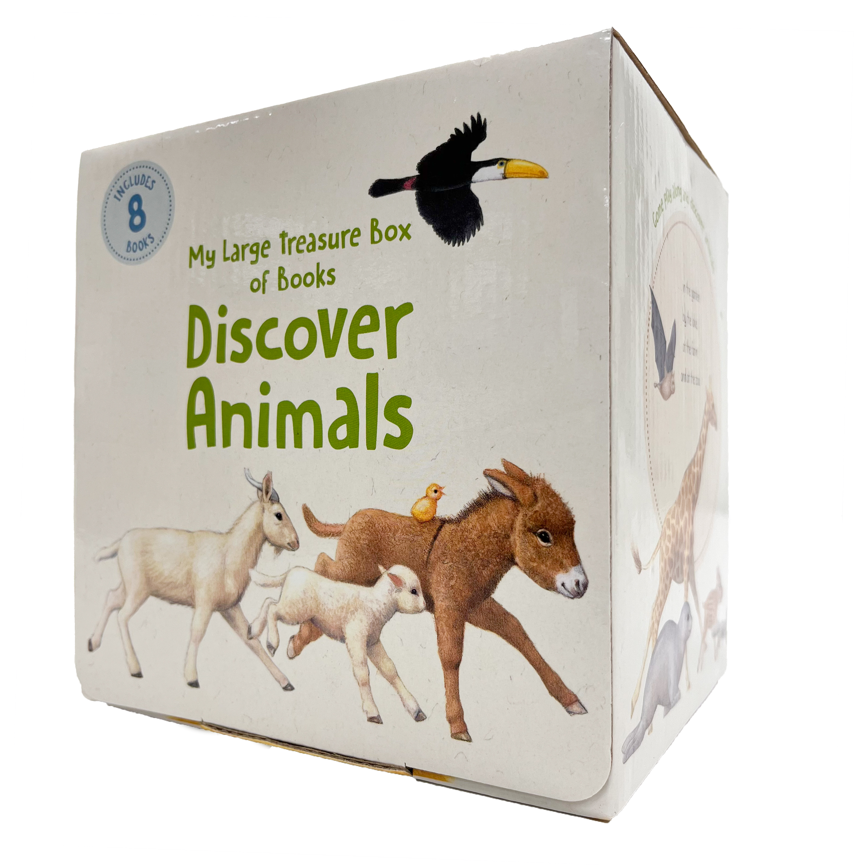 My Large Treasure Box of Books: Discover Animals Includes 8 Books Collection Set
