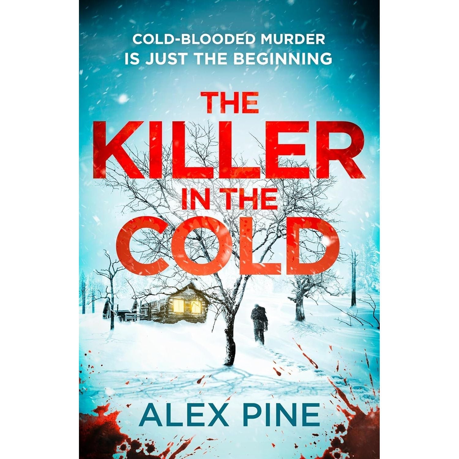 DI James Walker Series 1-6 Books Collection Set By Alex Pine (The Christmas Killer, The Killer in the Snow)