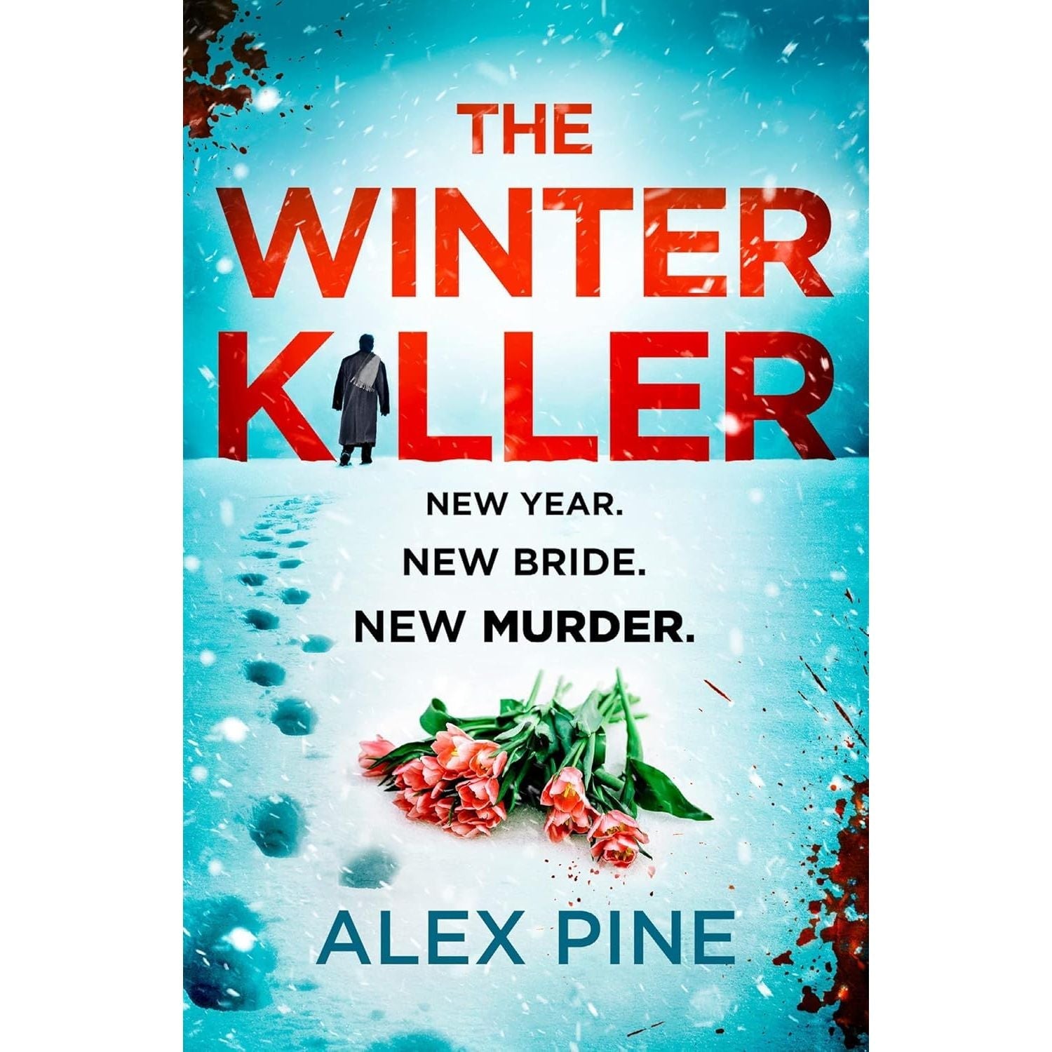 DI James Walker Series 1-6 Books Collection Set By Alex Pine (The Christmas Killer, The Killer in the Snow)
