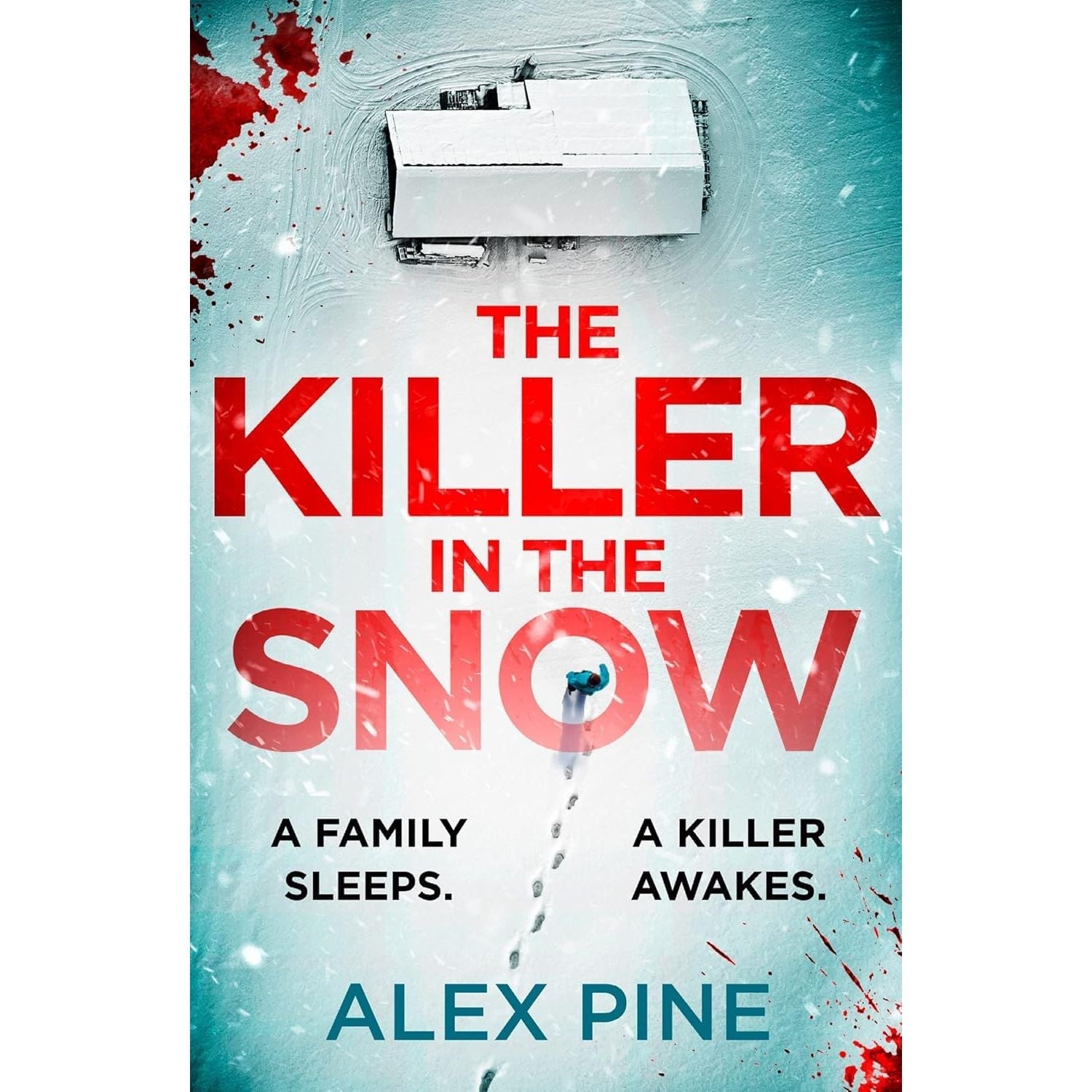 DI James Walker Series 1-6 Books Collection Set By Alex Pine (The Christmas Killer, The Killer in the Snow)