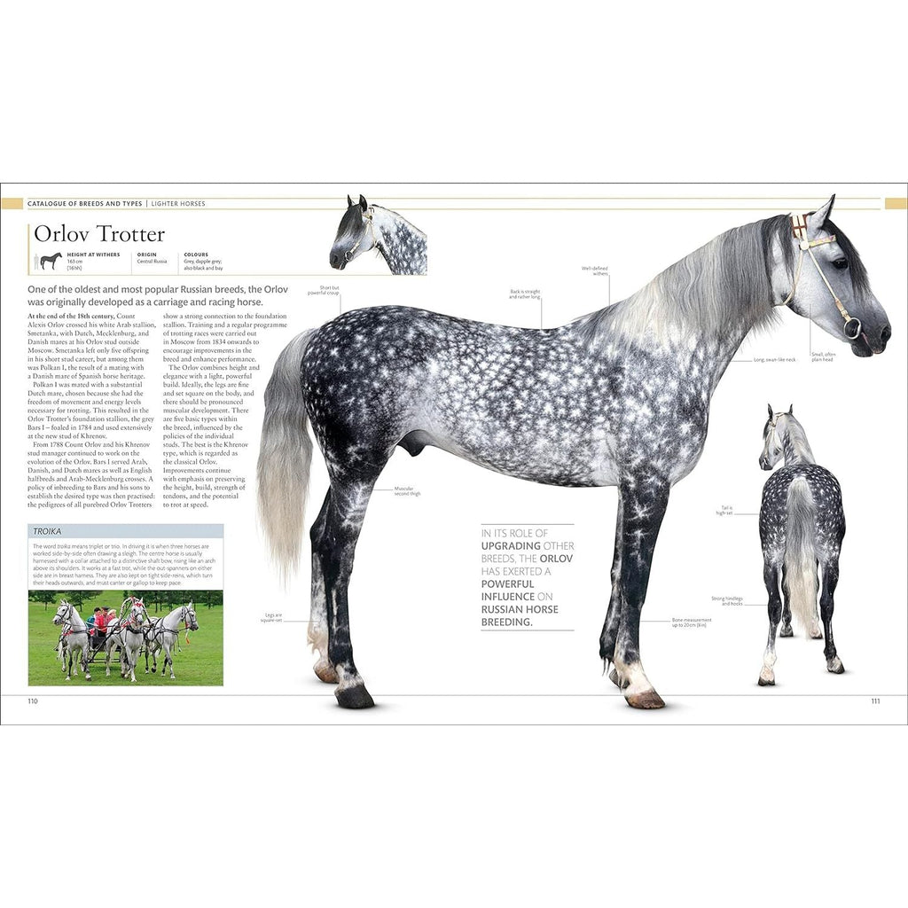 The Horse Encyclopedia (DK Pet Encyclopedias) by Elwyn Hartley Edwards