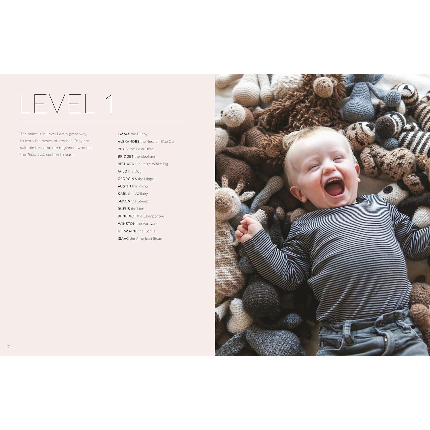 Edward's Menagerie New Edition: Over 50 easy-to-make soft toy animal crochet patterns (Paperback Book)