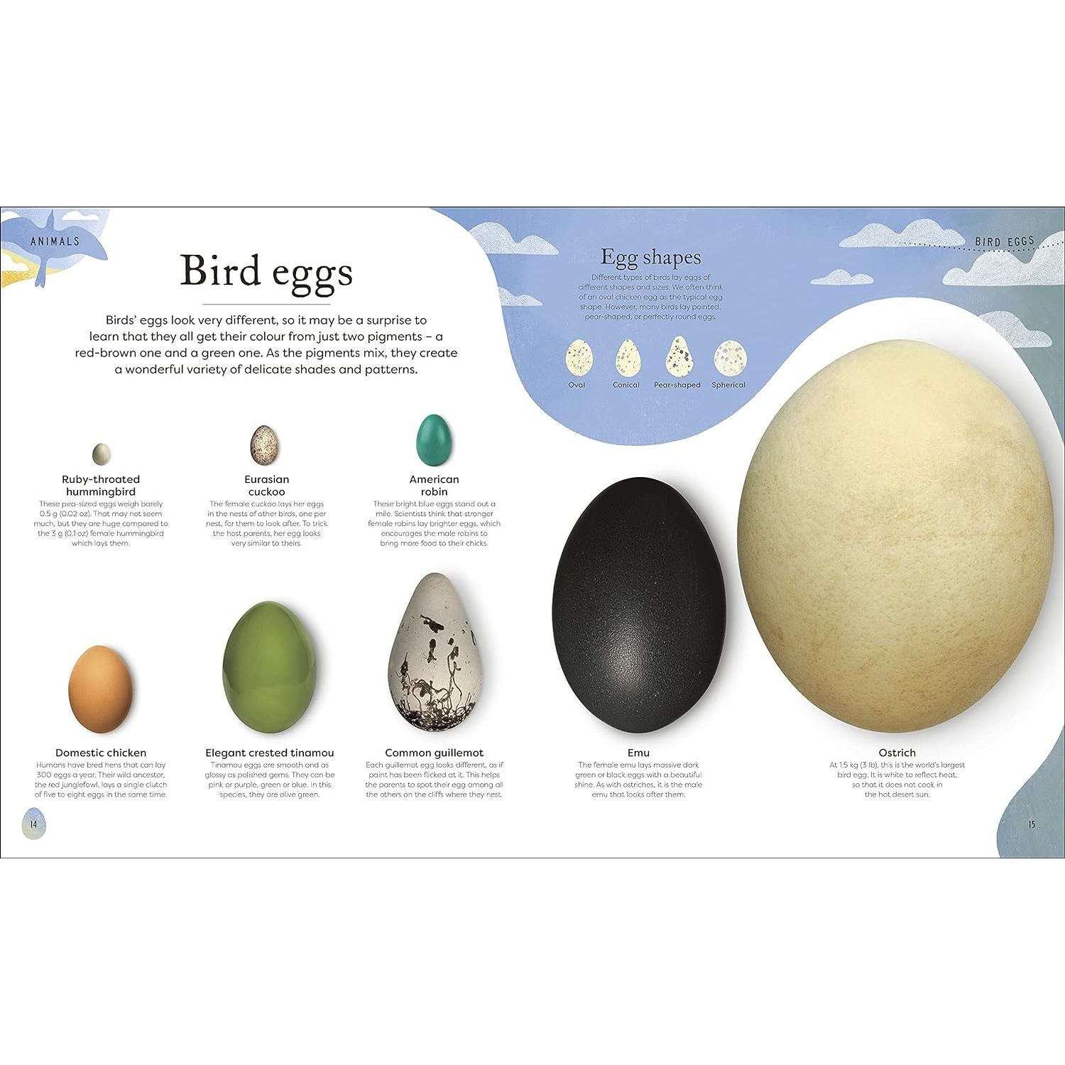 Nature's Treasures: Tales Of More Than 100 Extraordinary Objects From Nature (DK Treasures)