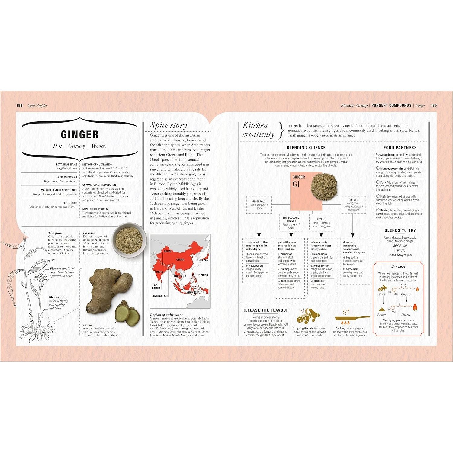 The Science of Spice: Understand Flavour Connections and Revolutionize your Cooking
