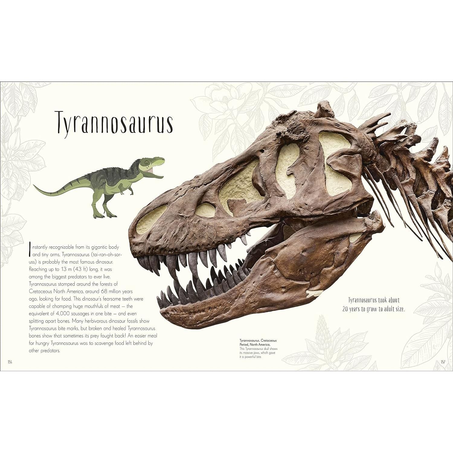 Dinosaurs and Other Prehistoric Life (DK Children's Anthologies)