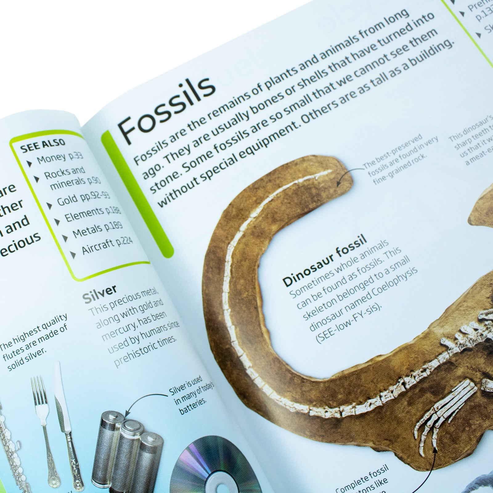 DK Children’s Encyclopedia: The Book That Explains Everything | Illustrated Reference Book on Science, History, Nature & More for Kids