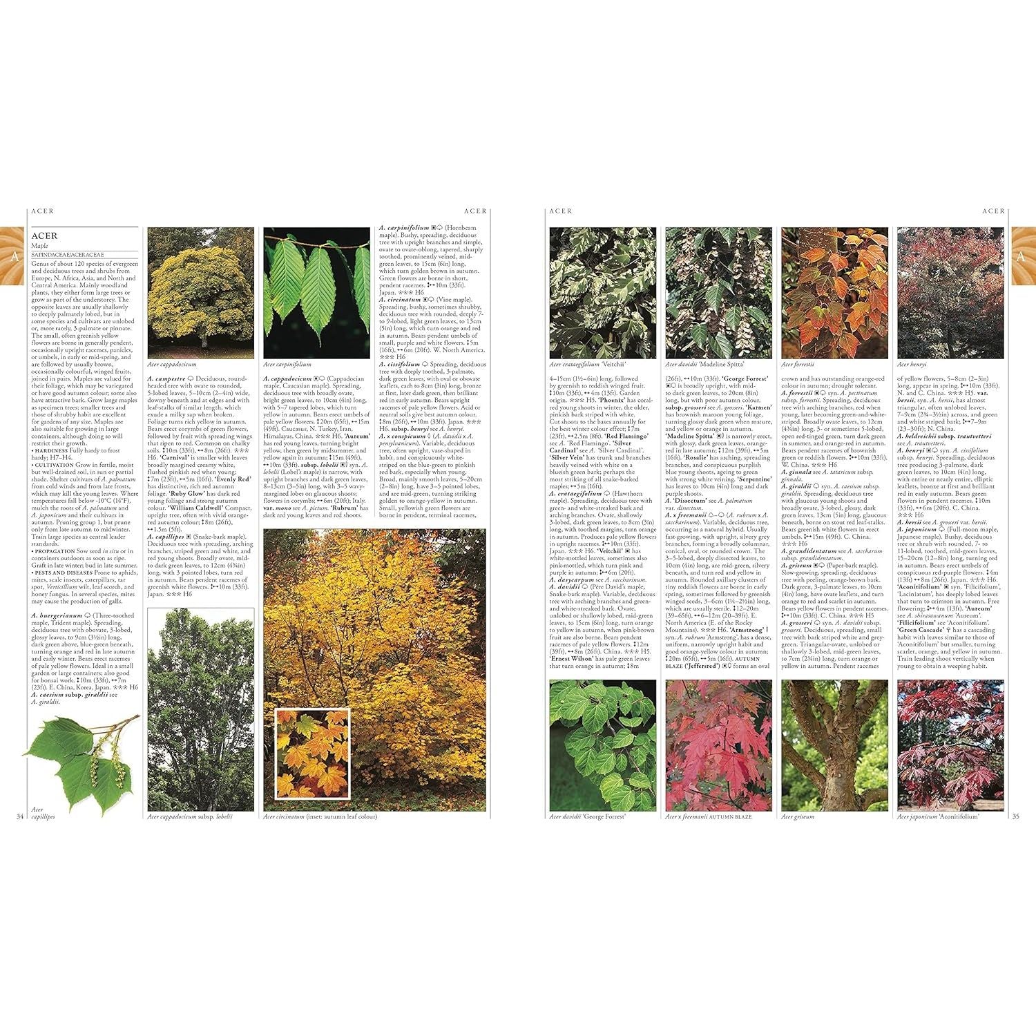 RHS A-Z Encyclopedia of Garden Plants 4th edition: (New Edition)