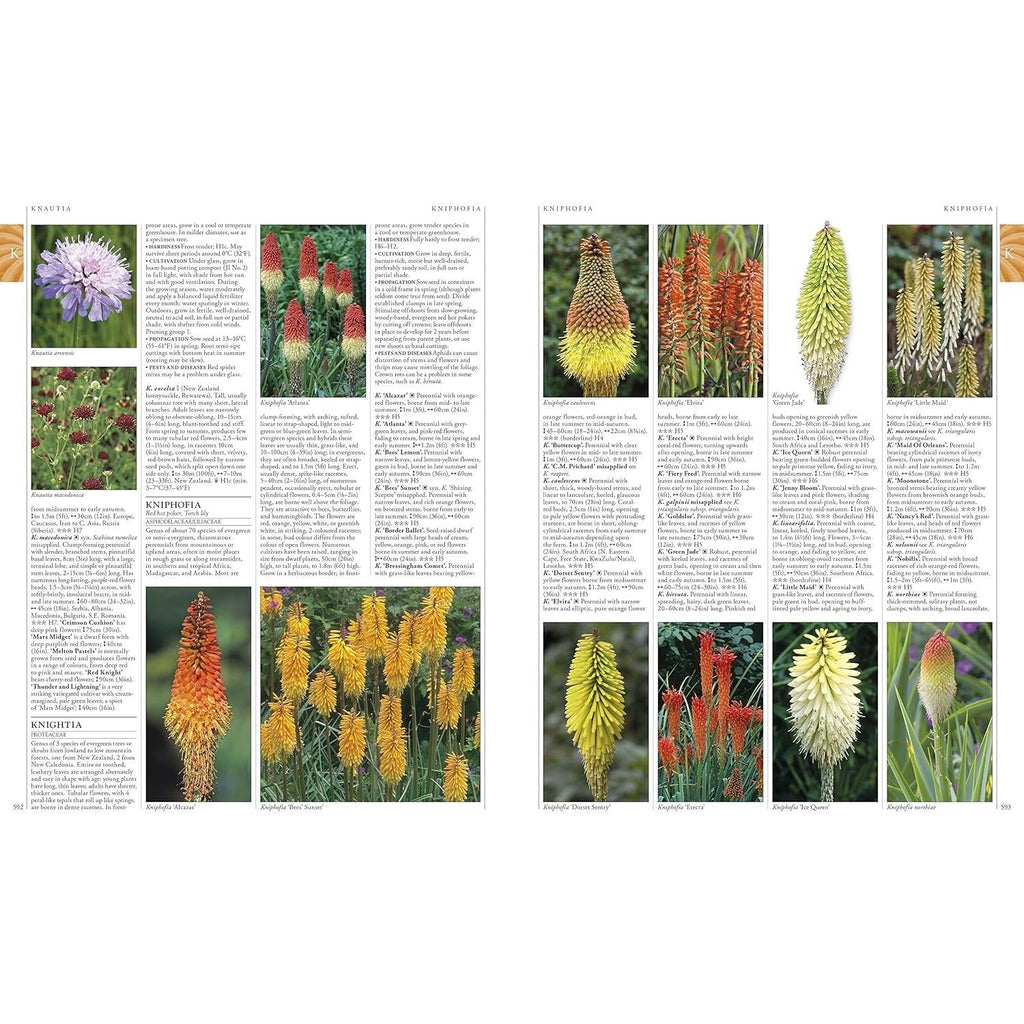 RHS A-Z Encyclopedia of Garden Plants 4th edition: (New Edition)