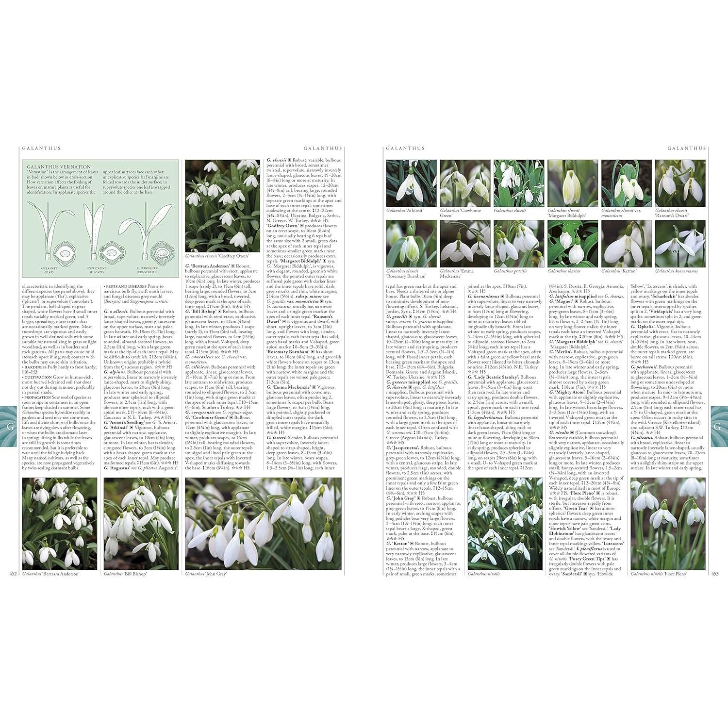 RHS A-Z Encyclopedia of Garden Plants 4th edition: (New Edition)