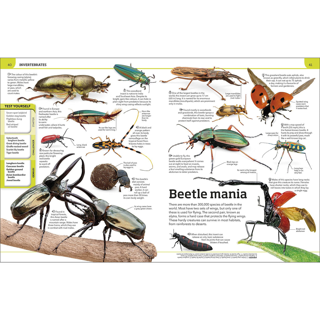 Animal Knowledge Genius!: A Quiz Encyclopedia to Boost Your Brain