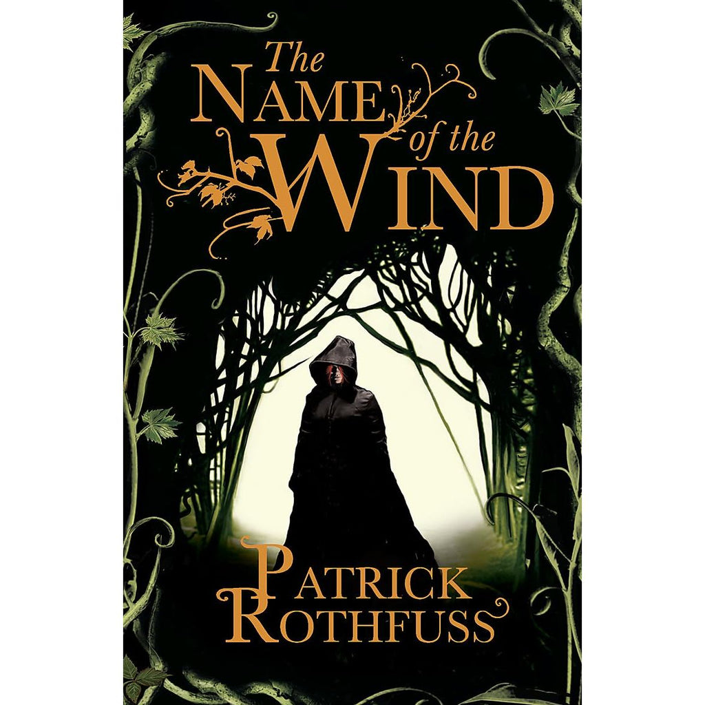 Kingkiller Chronicle Patrick Rothfuss Collection 4 Books Set (The Name of the Wind, The Wise Man’s Fear, The Slow Regard of Silent Things and The Narrow Road Between Desires)