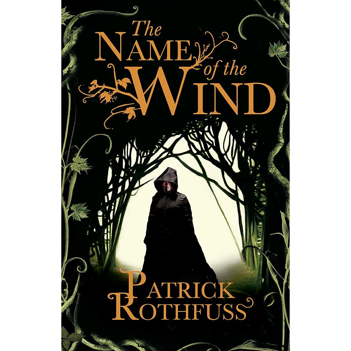 Kingkiller Chronicle Patrick Rothfuss Collection 4 Books Set (The Name of the Wind, The Wise Man’s Fear, The Slow Regard of Silent Things and The Narrow Road Between Desires)