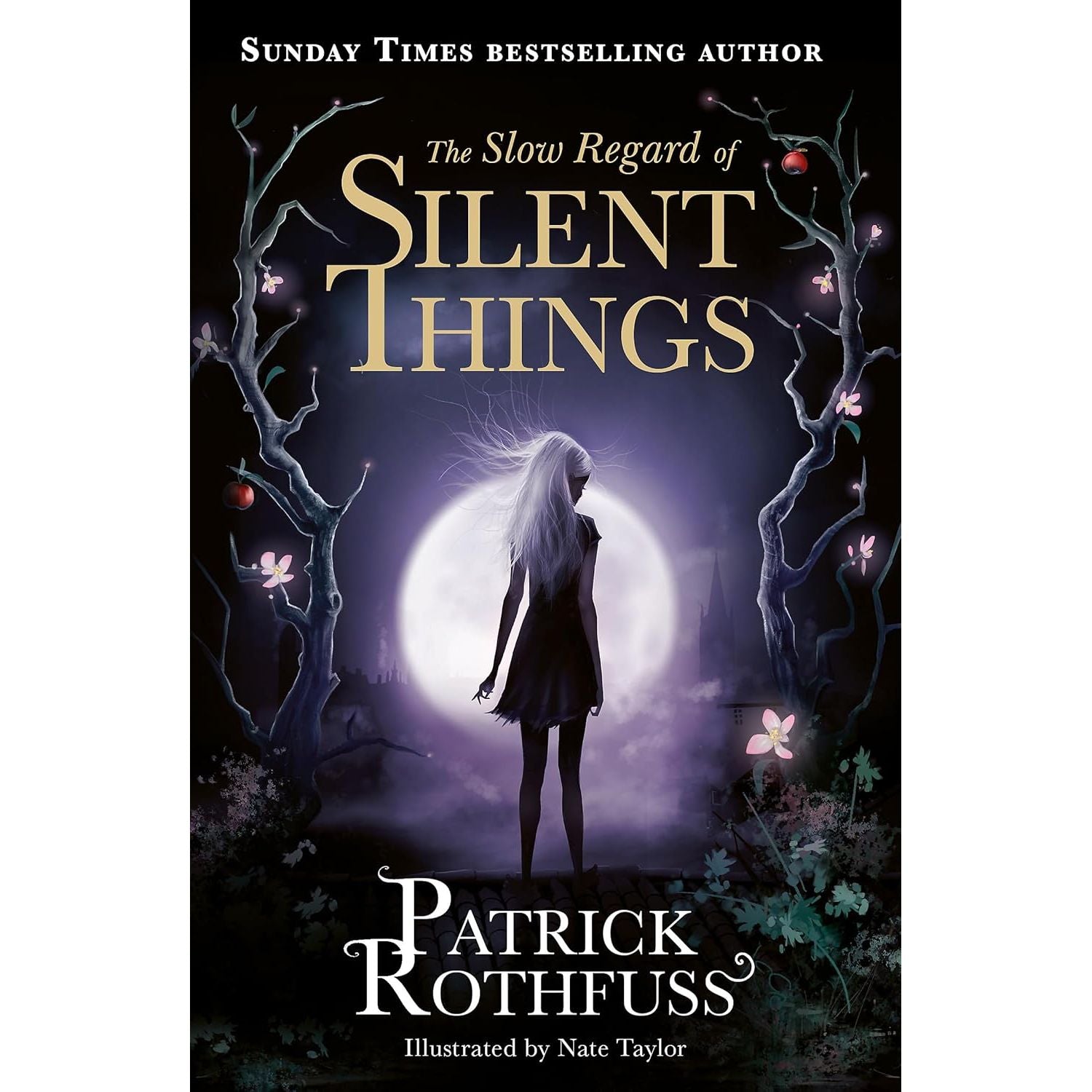 Kingkiller Chronicle Patrick Rothfuss Collection 4 Books Set (The Name of the Wind, The Wise Man’s Fear, The Slow Regard of Silent Things and The Narrow Road Between Desires)