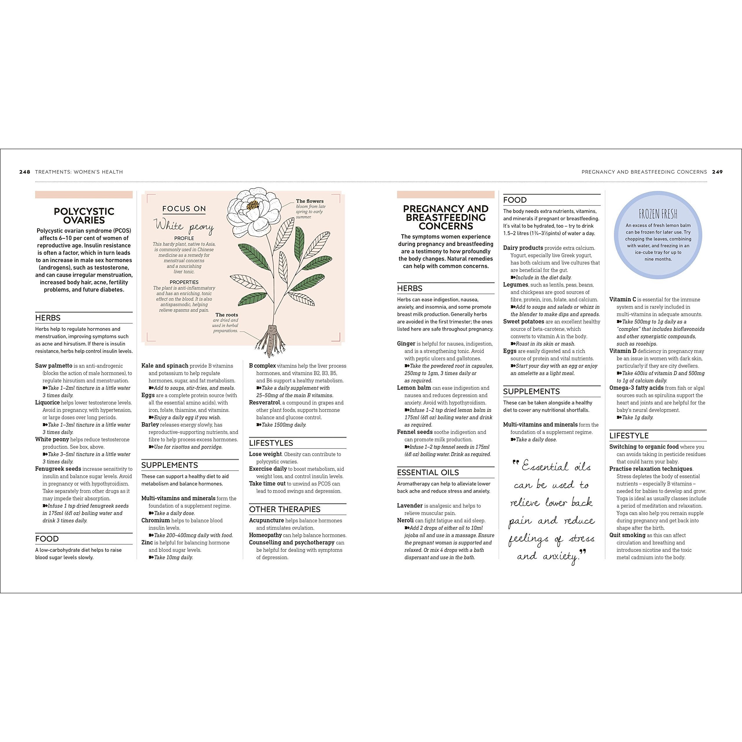 Neal's Yard Remedies Complete Wellness: Enjoy Long-lasting Health and Wellbeing with over 800 Natural Remedies