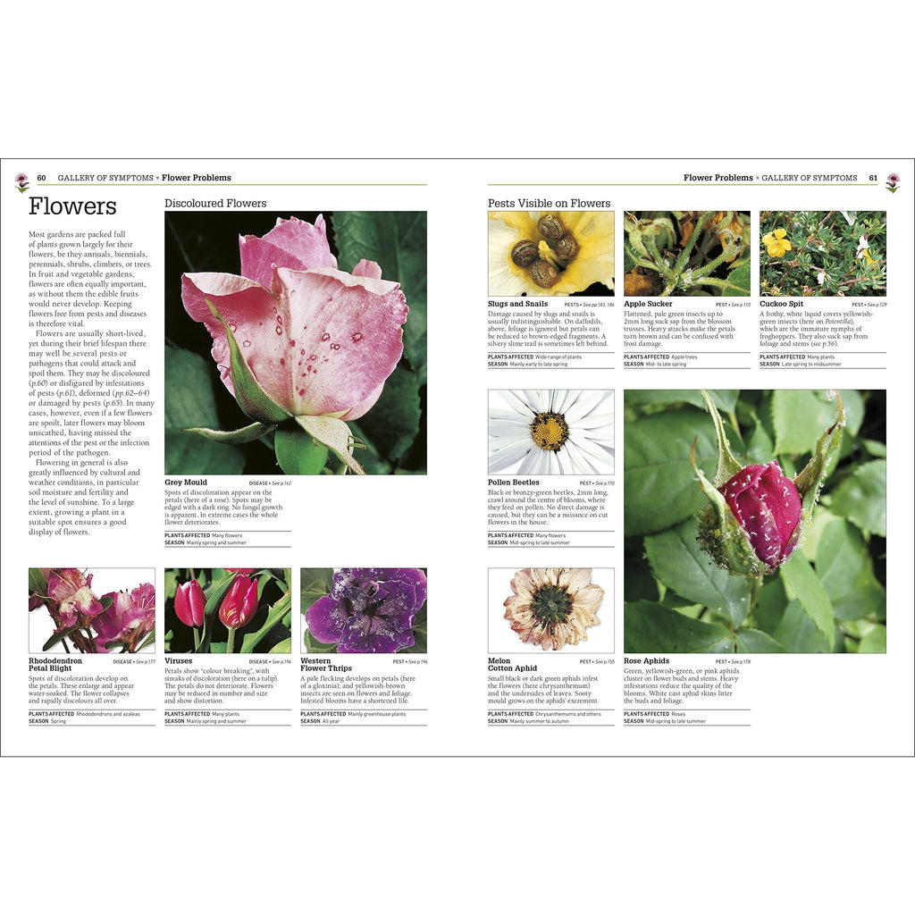 RHS Pests and Diseases The Definitive Practical Guide to Identifying and Treating Garden Problems