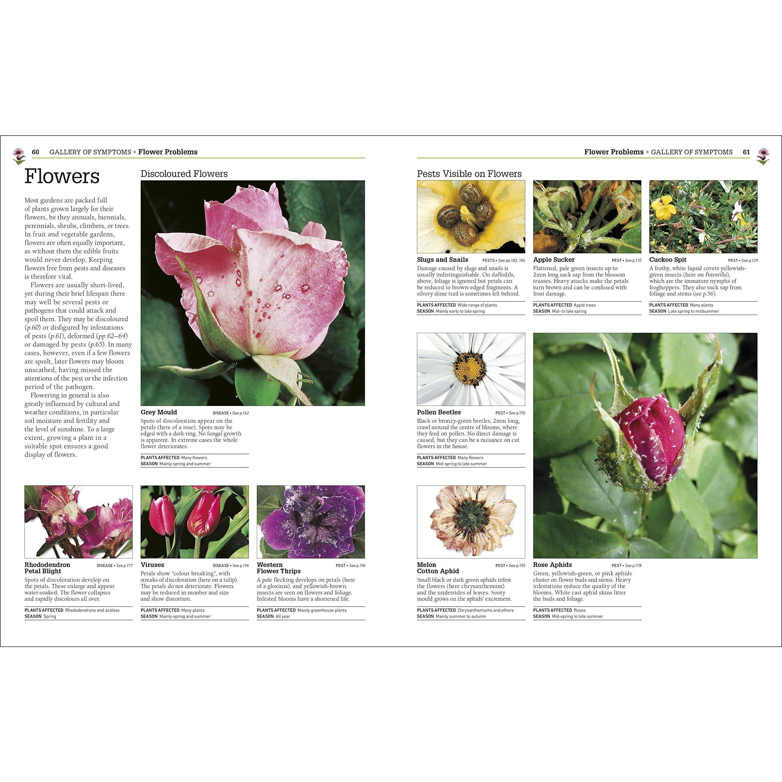 RHS Pests and Diseases The Definitive Practical Guide to Identifying and Treating Garden Problems