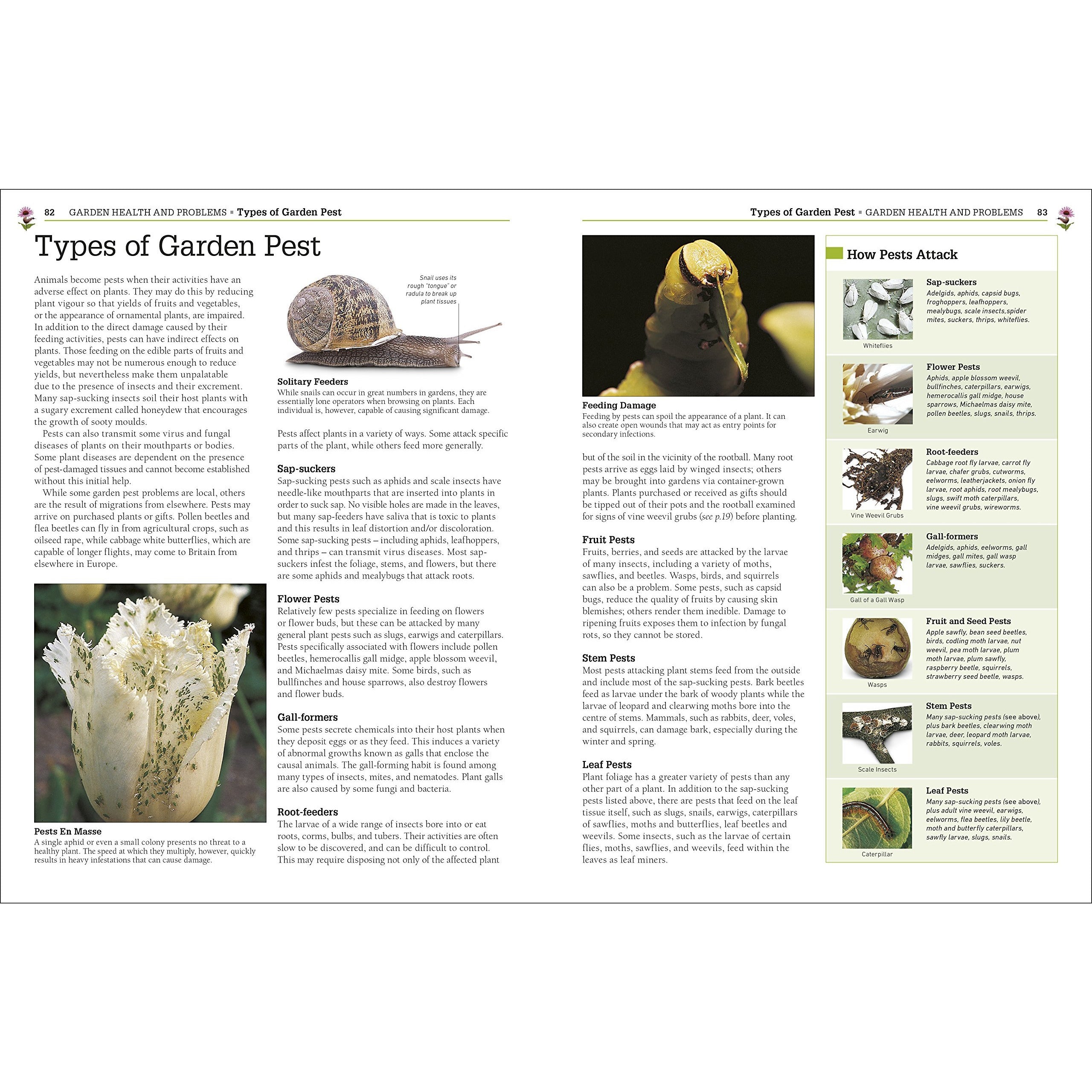 RHS Pests and Diseases The Definitive Practical Guide to Identifying and Treating Garden Problems