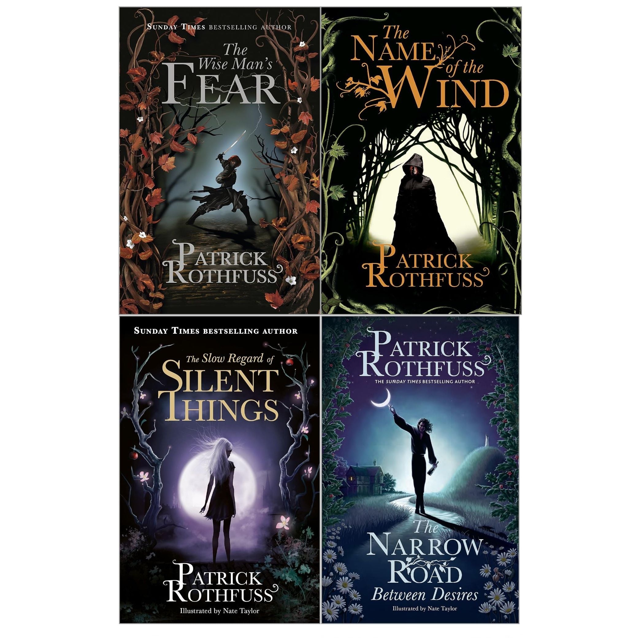 Kingkiller Chronicle Patrick Rothfuss Collection 4 Books Set (The Name of the Wind, The Wise Man’s Fear, The Slow Regard of Silent Things and The Narrow Road Between Desires)