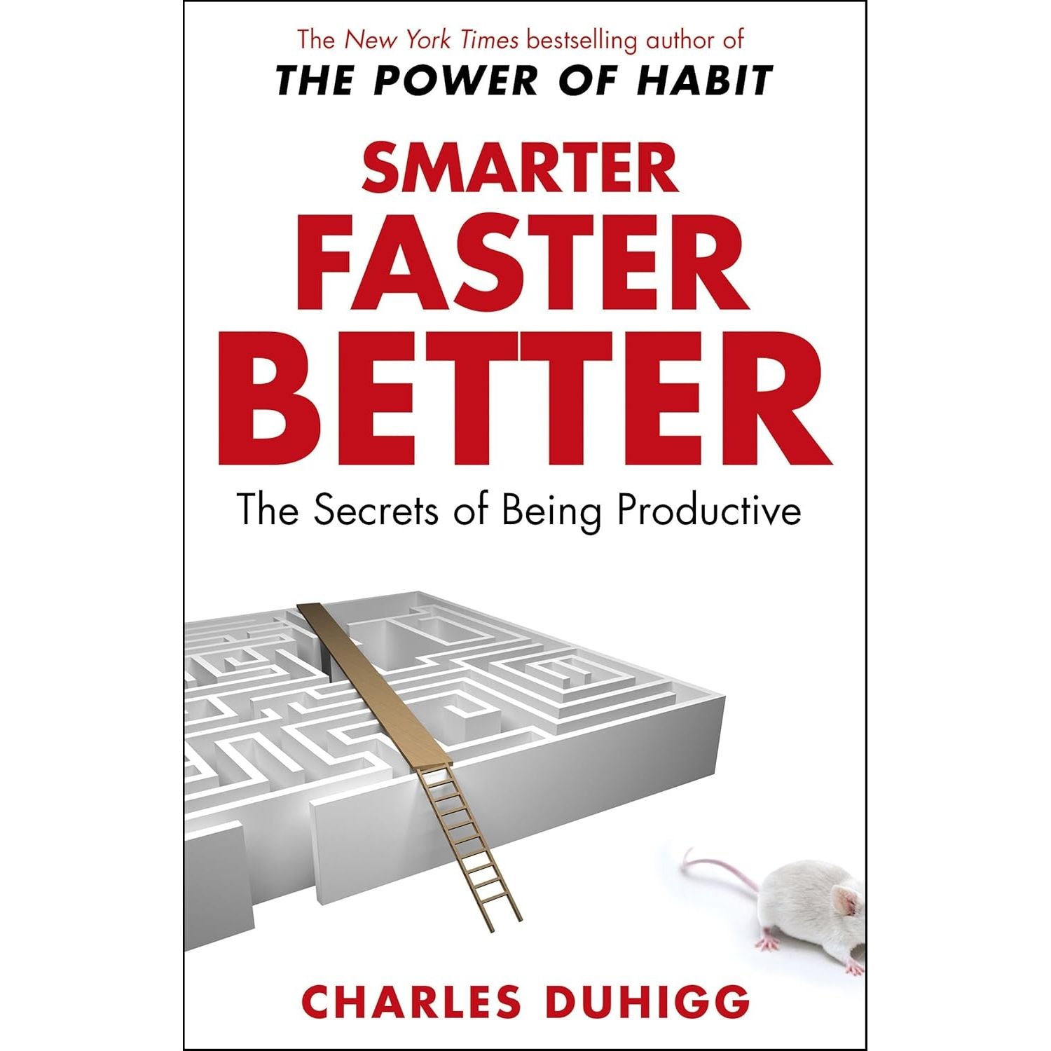 Smarter Faster Better The Secrets Of Being Productive In Life And BusinessSmarter Faster Better The Secrets Of Being Productive In Life And Business