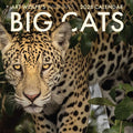 2026 Big Cats Wall Calendar: Art Wolfe's Wild Lives